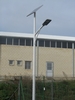 IMG 0501
