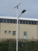 IMG 0501